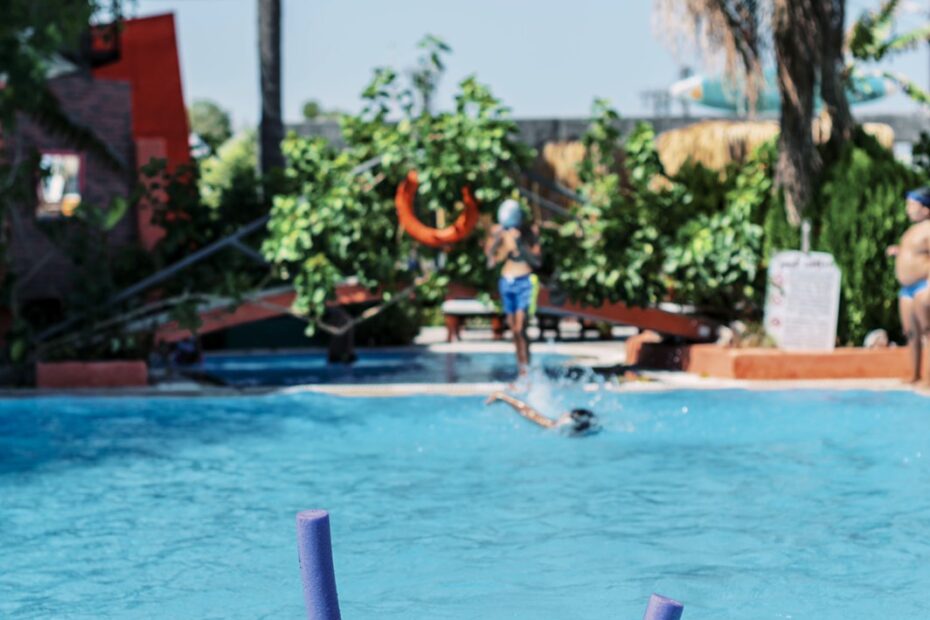 viber_image_2022-11-14_09-58-22-910